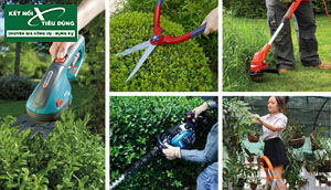 Bạn Cần Những Gì Khi Chăm Sóc Cho Khuôn Viên Sân Vườn Nhà Mình?