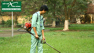 Nguy hiểm khó lường khi sử dụng máy cắt cỏ cũ, đã qua sử dụng