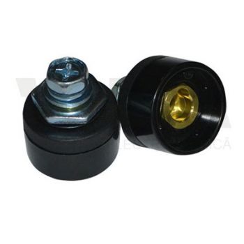 Rắc cái nhỏ 25