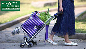 Cuối năm rồi, sắm ngay xe đẩy hàng mini tha hồ đi chợ sắm Tết!