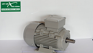 2 Tiêu chí đánh giá motor điện hoạt động tốt hay không