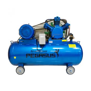 Máy nén khí dây đai Pegasus TM-W-0.36/12.5-230L