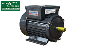 Bộ sưu tập motor điện mini giá khoảng 2 triệu