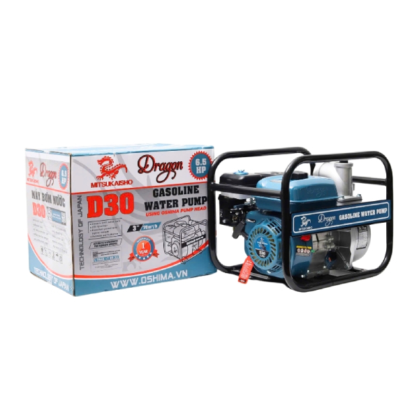 Máy bơm nước 6.5HP DRAGON D30
