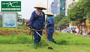 Máy cắt cỏ hãng nào tốt nhất? Chia sẻ mới nhất 2020