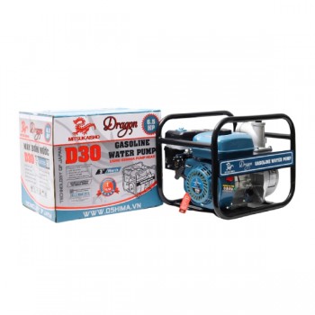 Máy bơm nước 6.5HP DRAGON D30