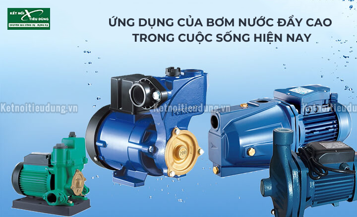 Ứng