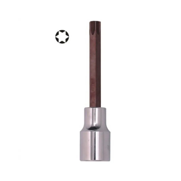 Đầu tuýp gắn mũi bông dài 6 cạnh T55 x 100mm Asaki AK-7248