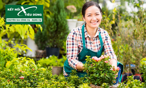Gợi ý những dụng cụ hỗ trợ làm vườn cực hiệu quả