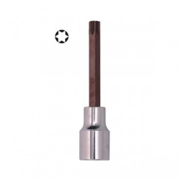 Đầu tuýp gắn mũi bông dài 6 cạnh T55 x 100mm Asaki AK-7248