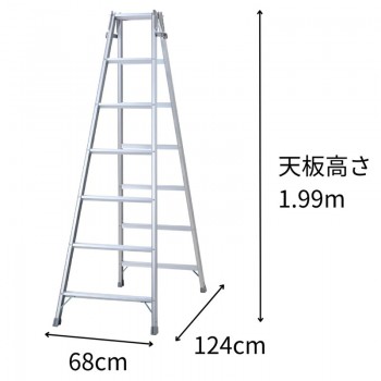 Thang nhôm chữ A Hasegawa RH2.0-21