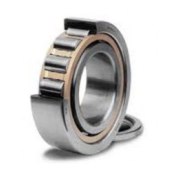 Vòng bi đũa SKF NJ2224