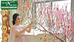 5 Cách để bắt đầu quy trình dọn dẹp nhà cửa đón Tết 2020