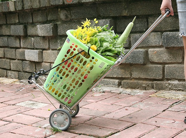 Xe đẩy gấp gọn - Trợ thủ đắc lực cho những bà nội trợ