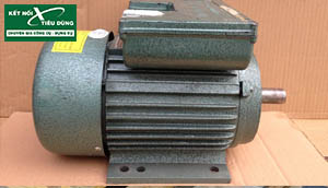 Mua motor điện giá bao nhiêu cho công ty vừa/nhỏ
