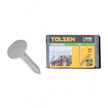 Đinh đóng gỗ 3.1x20mm Tolsen 54011 (1 Kg)