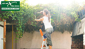 Biến hóa ngôi nhà đẹp hút hồn chỉ với 1 chiếc thang nhôm ghế