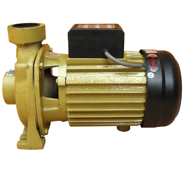 Máy bơm nước đẩy 1HP Tiến Đạt