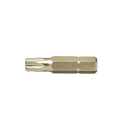Mũi vít ngắn hoa thị T30 Anex Japan AK-50P-T30x30