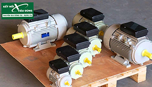 Lựa chọn và Sử dụng motor điện 3 pha cần biết những gì?