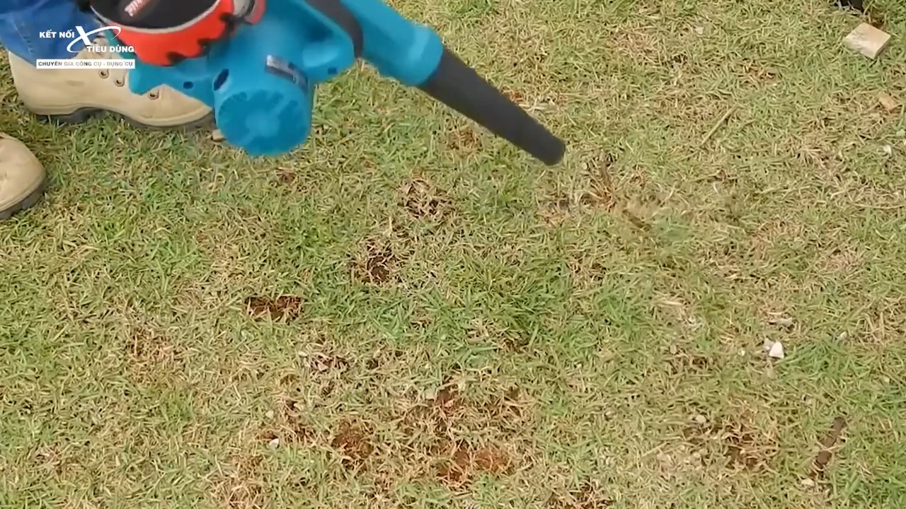 M&aacute;y c&oacute; thể d&ugrave;ng để h&uacute;t cỏ, r&aacute;c ở ngo&agrave;i s&acirc;n vườn