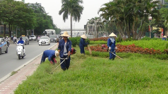 máy cắt cỏ cầm tay