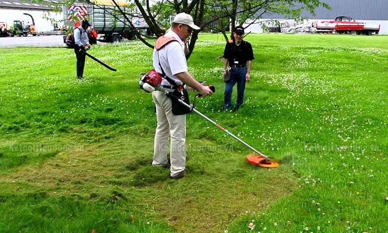 Nên mua máy cắt cỏ Nhật Bản hay Thụy Điển?