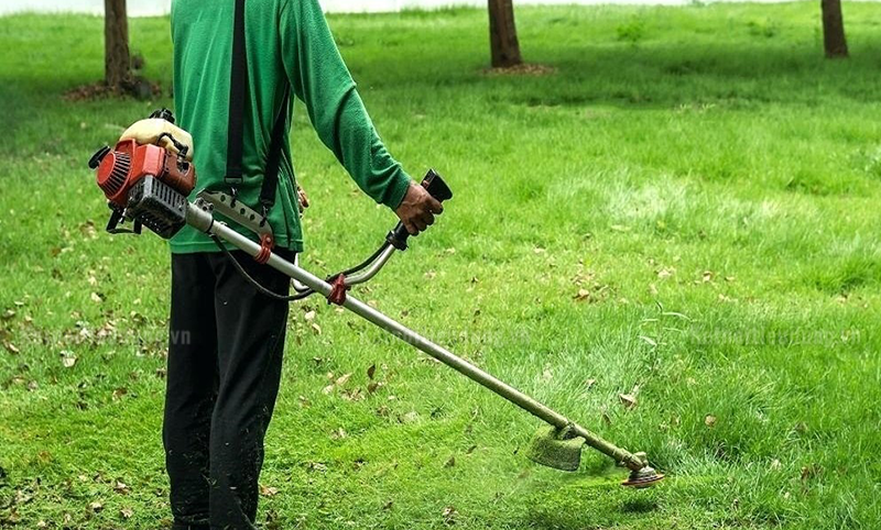Nên mua máy cắt cỏ Nhật Bản hay Thụy Điển?