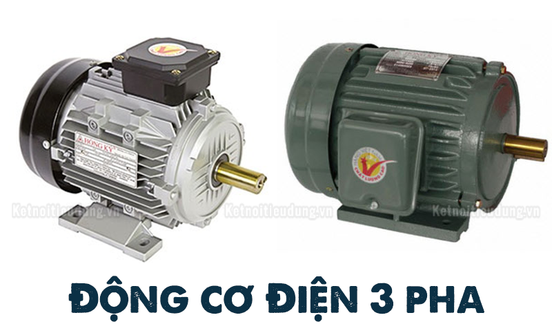 Những tiêu chí phân loại động cơ điện 3 pha