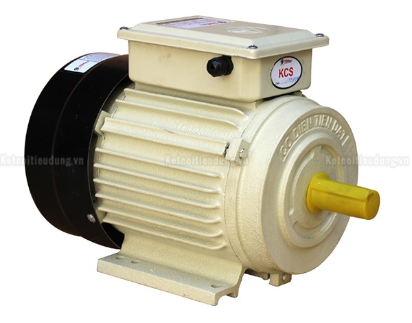 thuong-hieu-motor-dien-noi-bat-hien-nay-loai-nao-tot-nhat_4