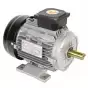 Motor Hồng Ký vỏ nhôm (20HP) PLA-H1534